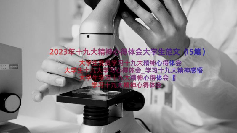 2023年十九大精神心得体会大学生范文（15篇）