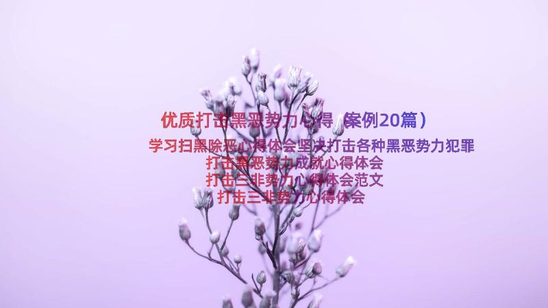 优质打击黑恶势力心得（案例20篇）