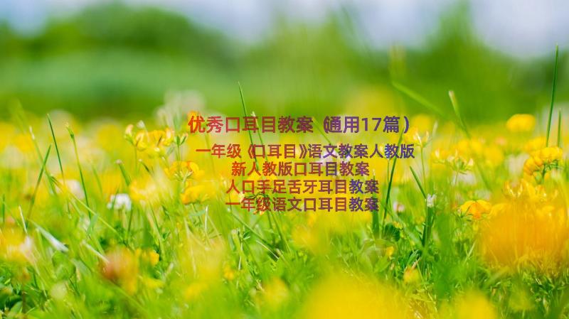 优秀口耳目教案（通用17篇）