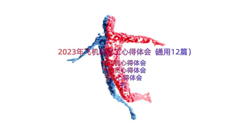 2023年飞机装配工心得体会（通用12篇）