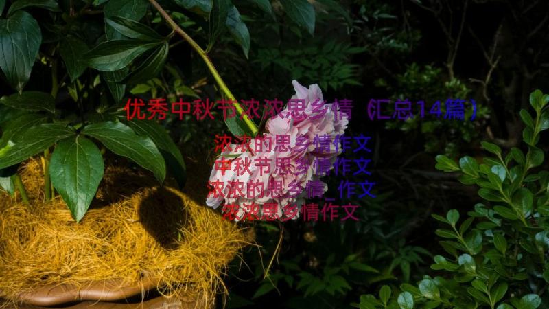 优秀中秋节浓浓思乡情（汇总14篇）