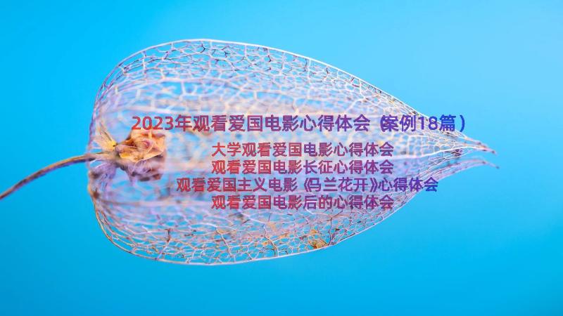 2023年观看爱国电影心得体会（案例18篇）