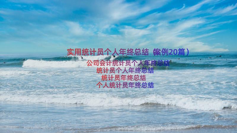 实用统计员个人年终总结（案例20篇）