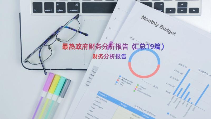 最热政府财务分析报告（汇总19篇）