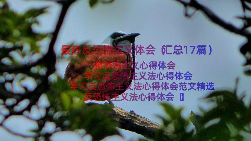 最热反恐怖主义体会（汇总17篇）