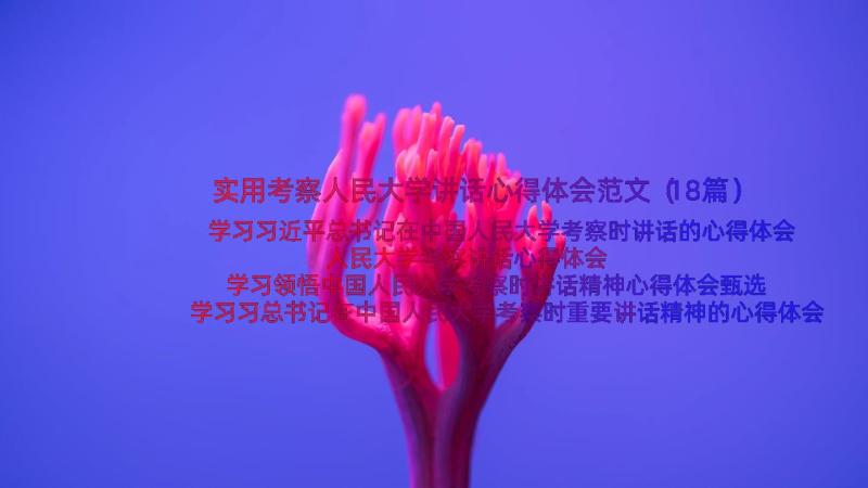 实用考察人民大学讲话心得体会范文（18篇）