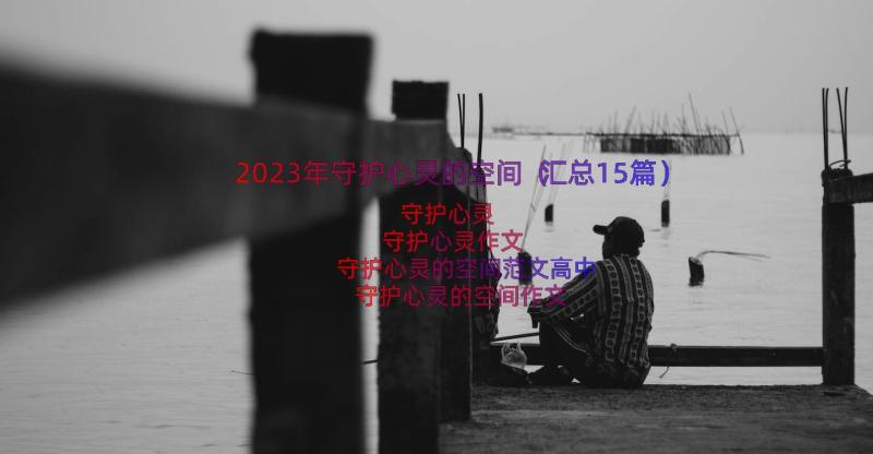 2023年守护心灵的空间（汇总15篇）