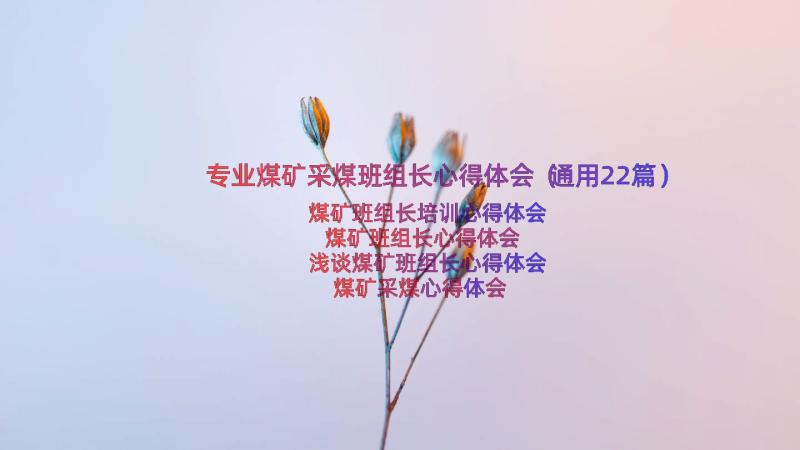 专业煤矿采煤班组长心得体会（通用22篇）