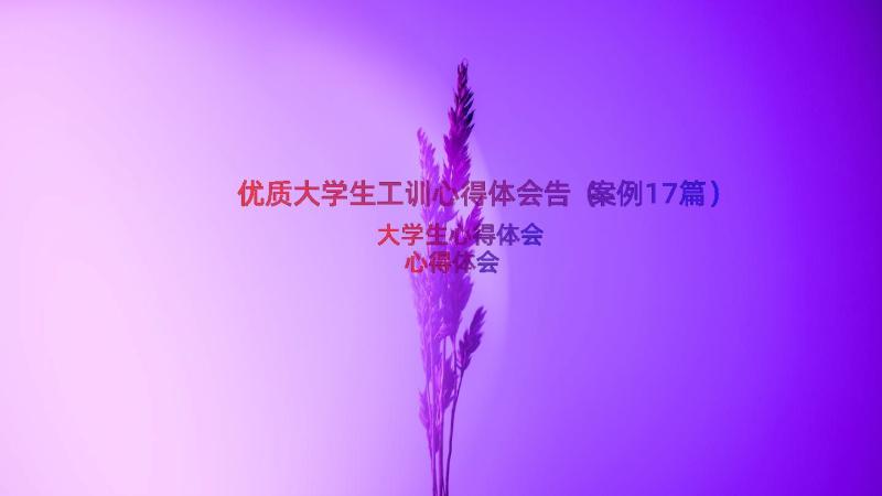 优质大学生工训心得体会告（案例17篇）