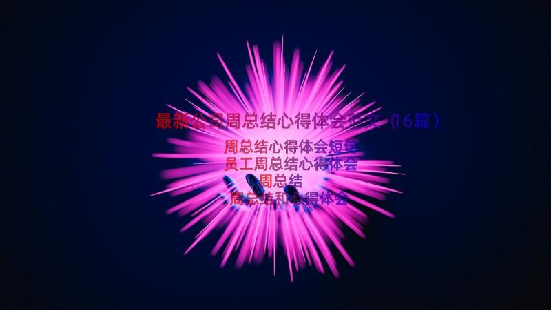 最新公司周总结心得体会范文（16篇）