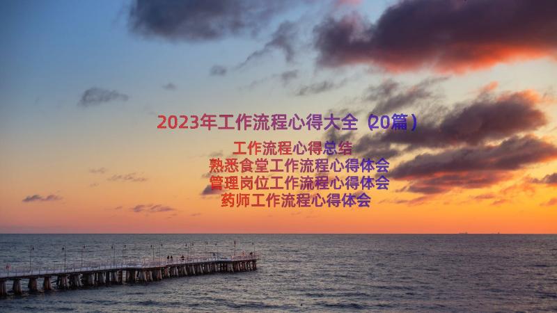 2023年工作流程心得大全（20篇）