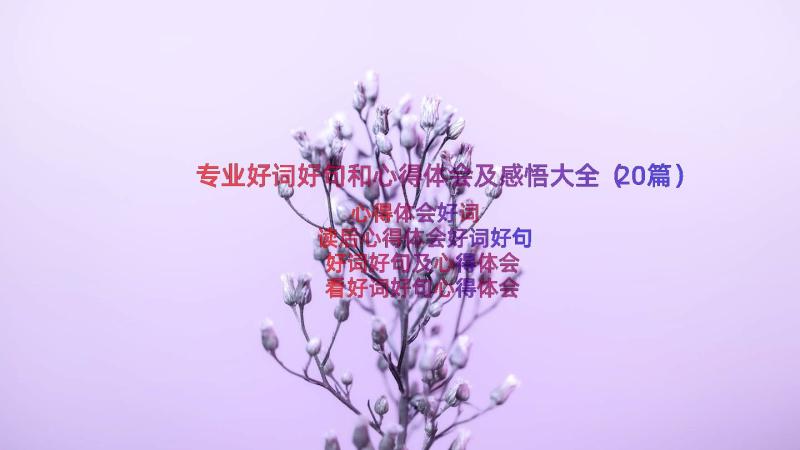 专业好词好句和心得体会及感悟大全（20篇）