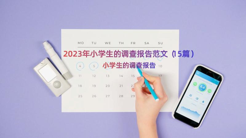 2023年小学生的调查报告范文（15篇）