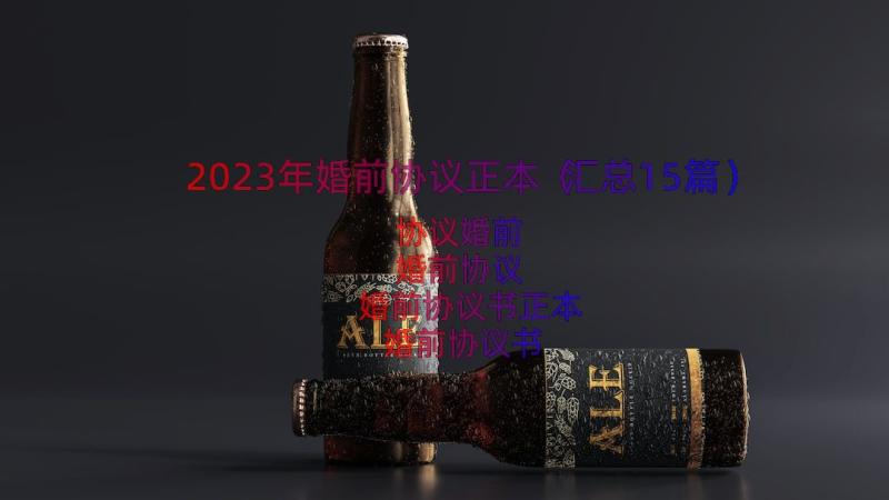 2023年婚前协议正本（汇总15篇）