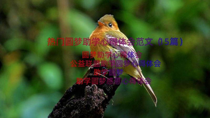 热门圆梦助学心得体会范文（15篇）