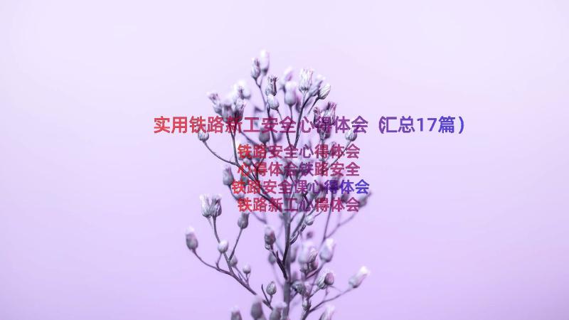 实用铁路新工安全心得体会（汇总17篇）