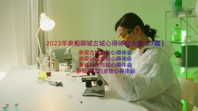 2023年参观聊城古城心得体会大全（17篇）