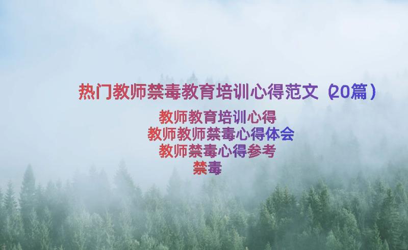 热门教师禁毒教育培训心得范文（20篇）