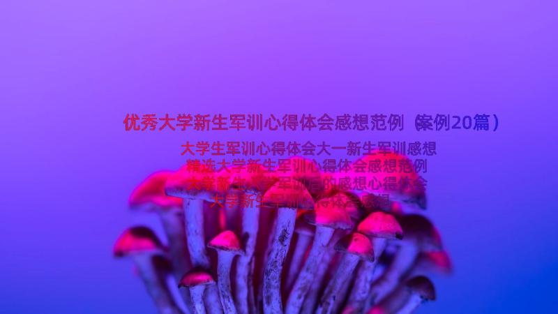 优秀大学新生军训心得体会感想范例（案例20篇）