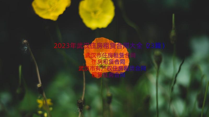 2023年武汉住房租赁合同大全（23篇）