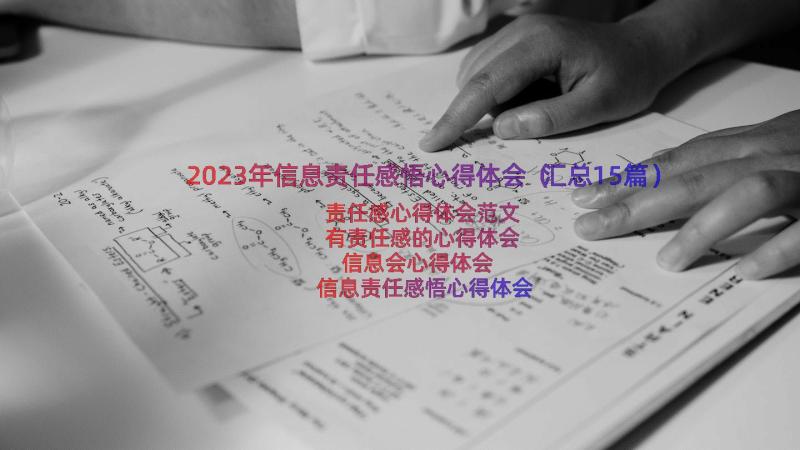 2023年信息责任感悟心得体会（汇总15篇）