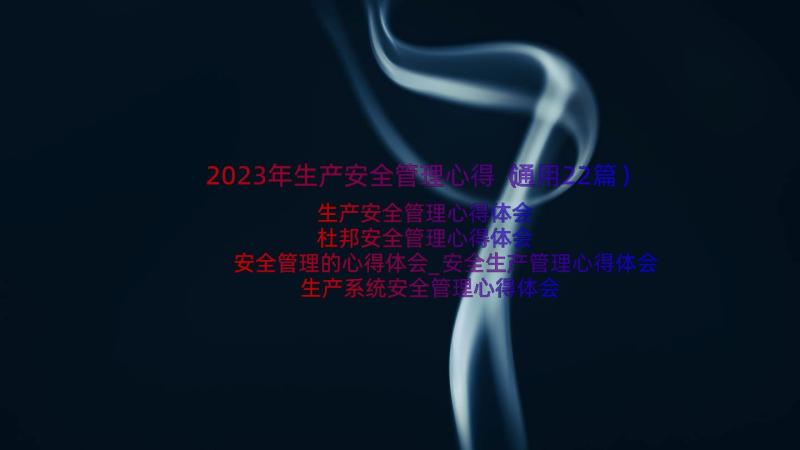 2023年生产安全管理心得（通用22篇）