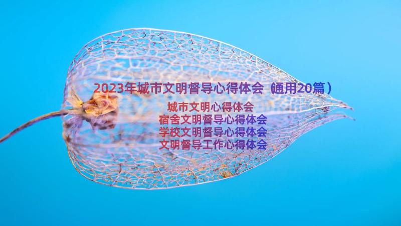 2023年城市文明督导心得体会（通用20篇）