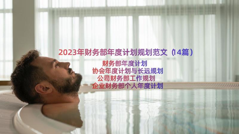 2023年财务部年度计划规划范文（14篇）