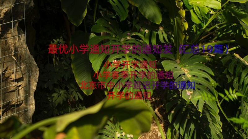 最优小学通知开学的通知发（汇总19篇）