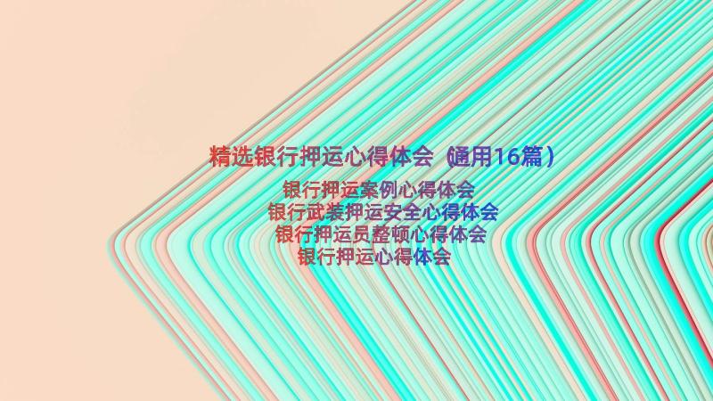 精选银行押运心得体会（通用16篇）