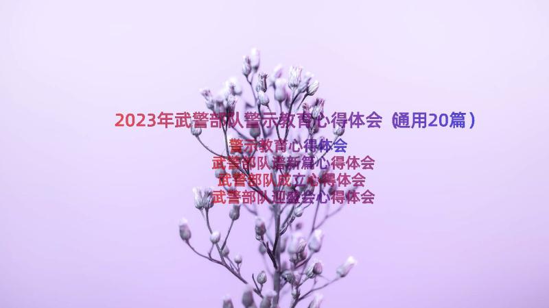 2023年武警部队警示教育心得体会（通用20篇）