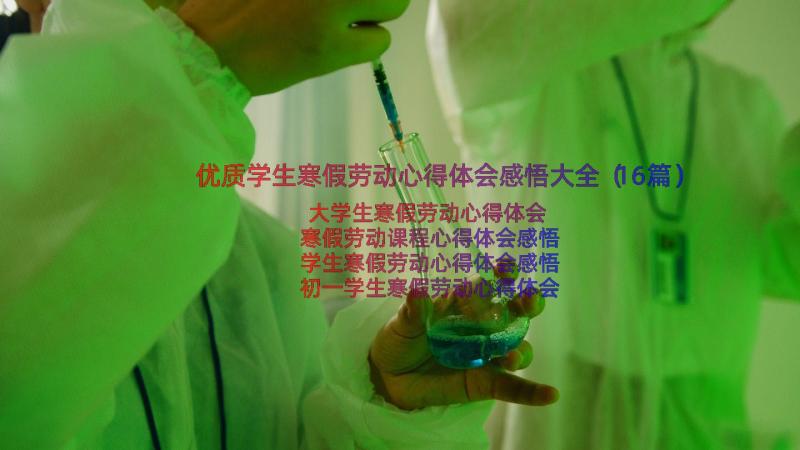 优质学生寒假劳动心得体会感悟大全（16篇）