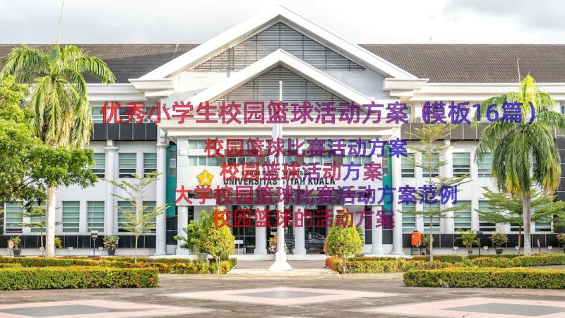 优秀小学生校园篮球活动方案（模板16篇）