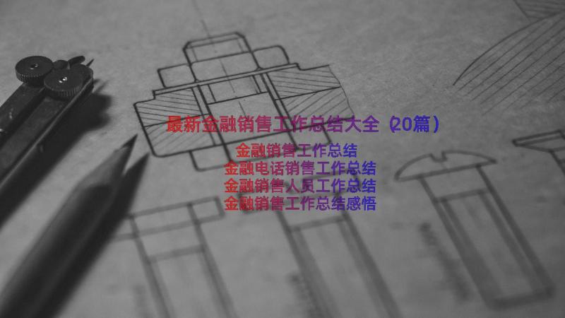 最新金融销售工作总结大全（20篇）