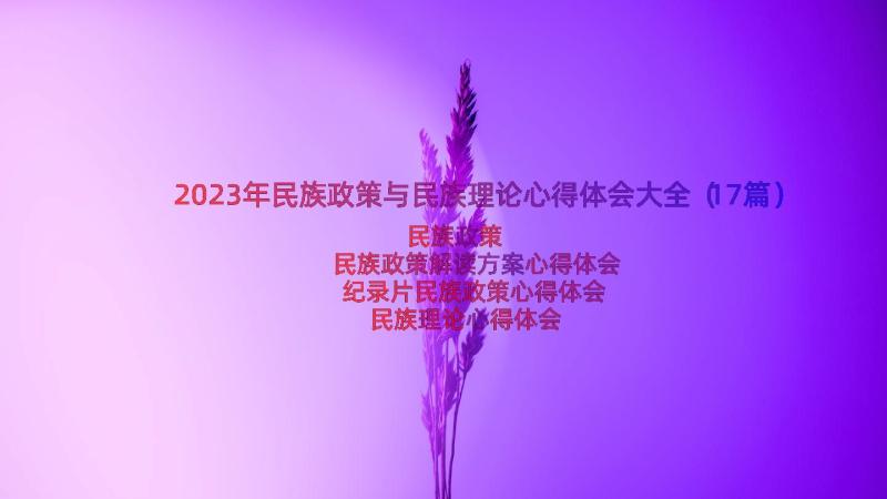 2023年民族政策与民族理论心得体会大全（17篇）