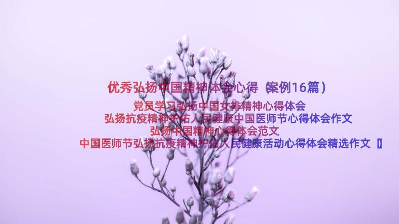 优秀弘扬中国精神体会心得（案例16篇）