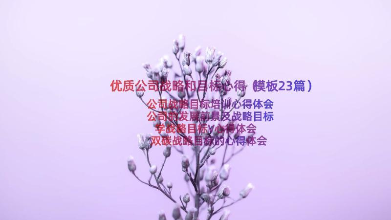 优质公司战略和目标心得（模板23篇）