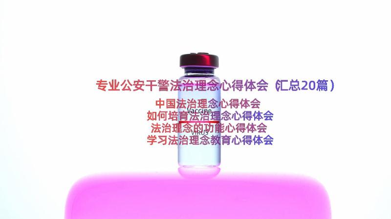 专业公安干警法治理念心得体会（汇总20篇）