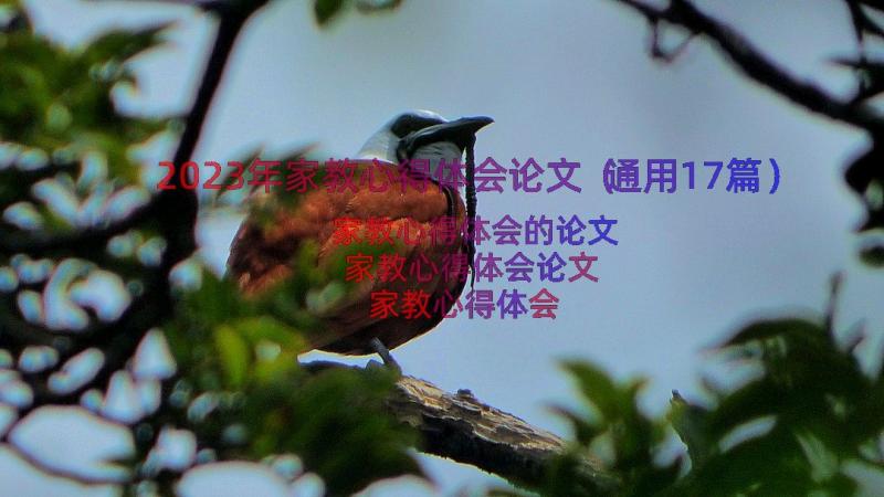 2023年家教心得体会论文（通用17篇）