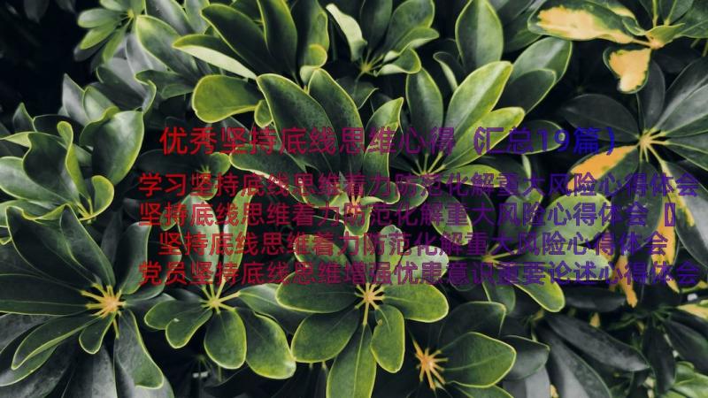 优秀坚持底线思维心得（汇总19篇）