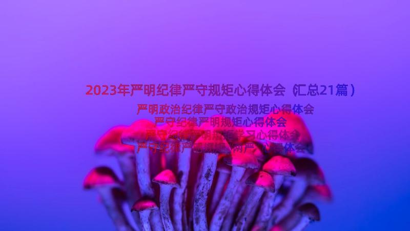 2023年严明纪律严守规矩心得体会（汇总21篇）