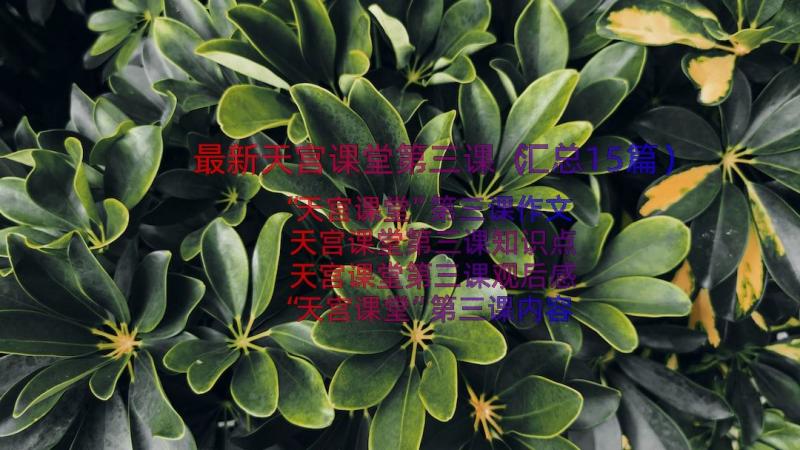 最新天宫课堂第三课（汇总15篇）