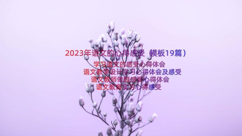 2023年语文的心得感受（模板19篇）