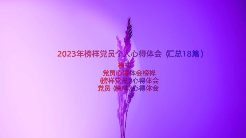 2023年榜样党员个人心得体会（汇总18篇）