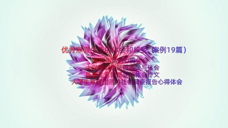 优秀寒假生活的体会和感受（案例19篇）