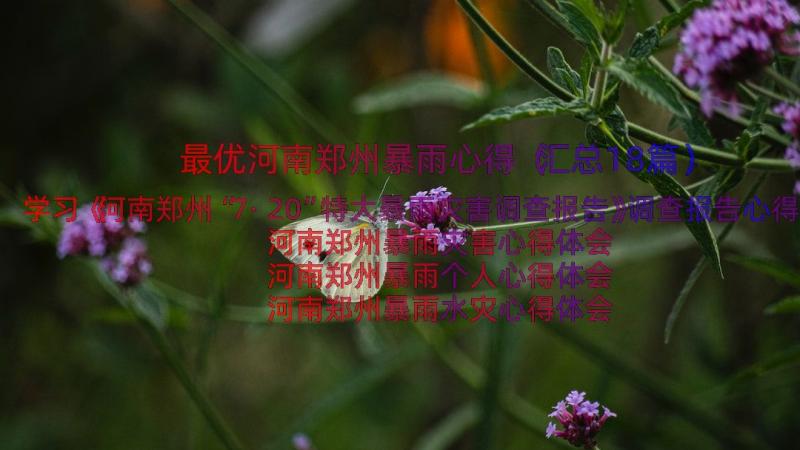 最优河南郑州暴雨心得（汇总18篇）