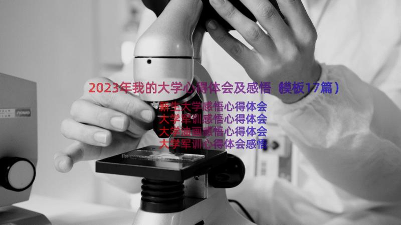 2023年我的大学心得体会及感悟（模板17篇）