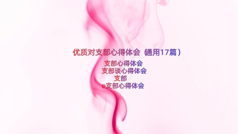 优质对支部心得体会（通用17篇）