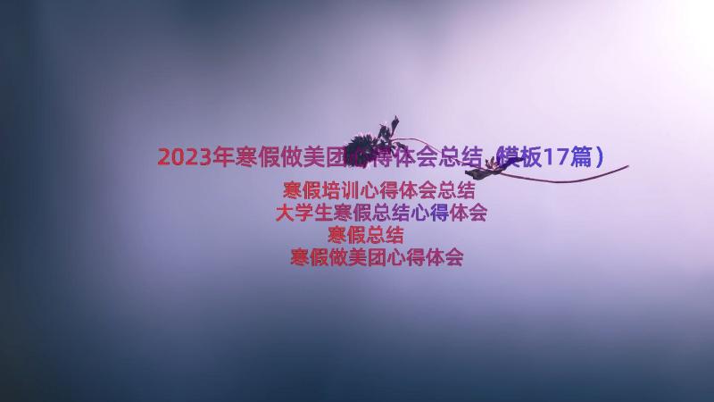 2023年寒假做美团心得体会总结（模板17篇）