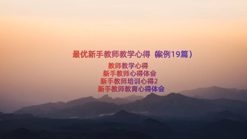 最优新手教师教学心得（案例19篇）